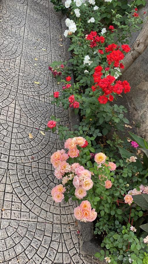 Casa Delle Rose Βίλα Κατάνια Εξωτερικό φωτογραφία